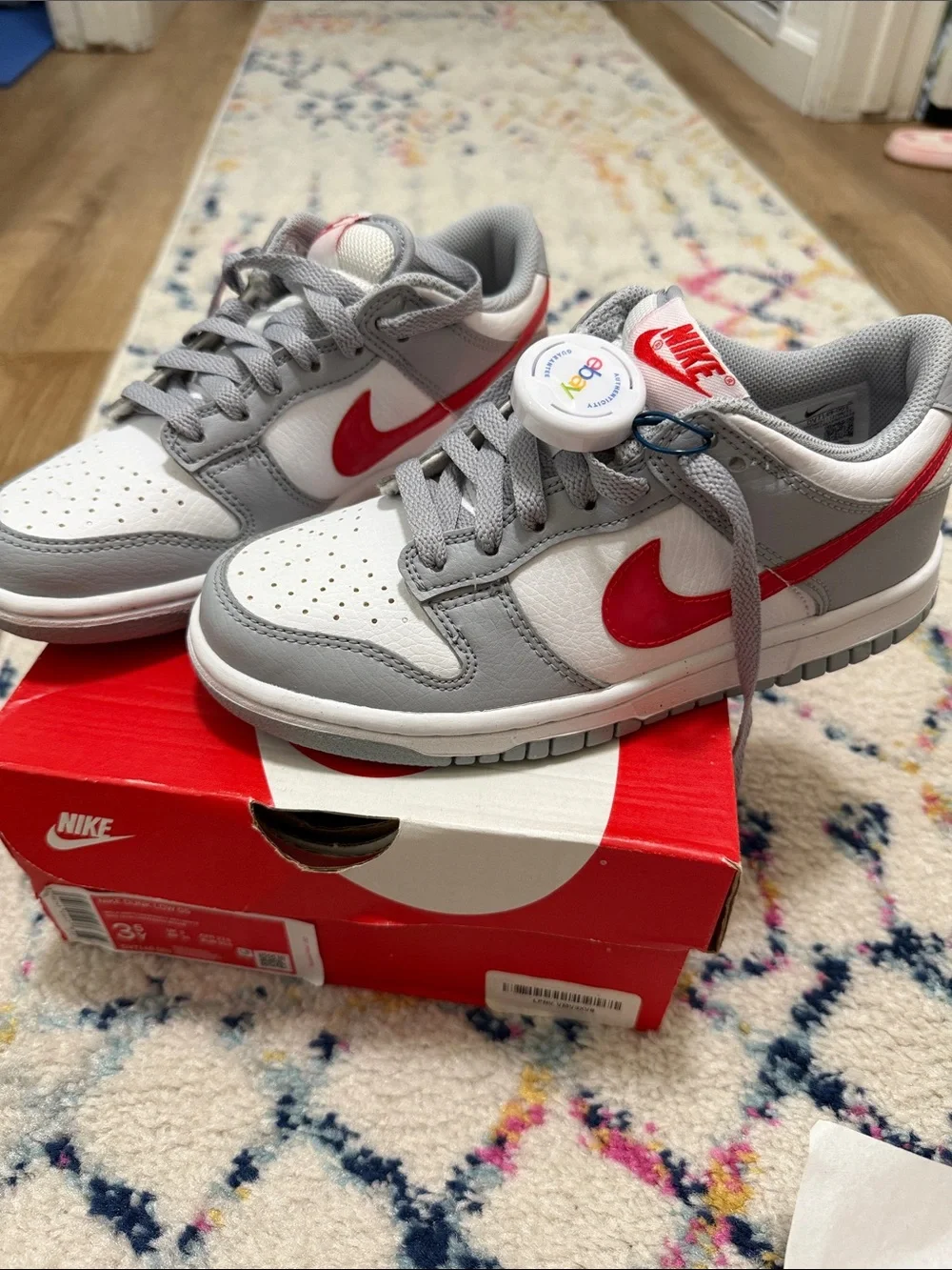 Nike Kids Dunk Low — White and Gray with Red Swoosh